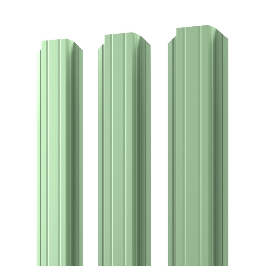 RAL 60190001